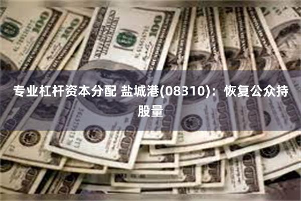 专业杠杆资本分配 盐城港(08310)：恢复公众持股量
