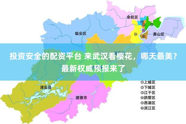 投资安全的配资平台 来武汉看樱花，哪天最美？最新权威预报来了