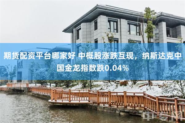 期货配资平台哪家好 中概股涨跌互现，纳斯达克中国金龙指数跌0.04%