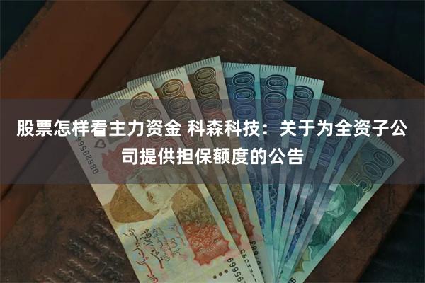 股票怎样看主力资金 科森科技：关于为全资子公司提供担保额度的公告