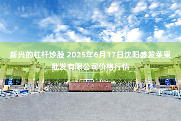 新兴的杠杆炒股 2025年6月17日沈阳盛发菜果批发有限公司价格行情