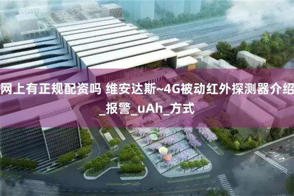 网上有正规配资吗 维安达斯~4G被动红外探测器介绍_报警_uAh_方式
