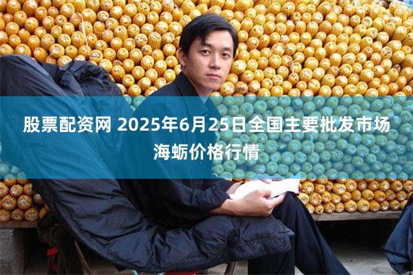 股票配资网 2025年6月25日全国主要批发市场海蛎价格行情