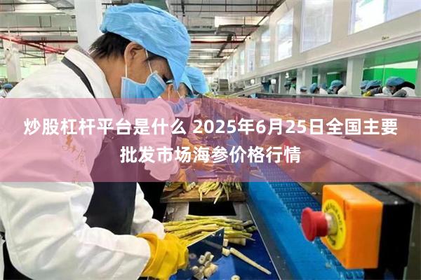 炒股杠杆平台是什么 2025年6月25日全国主要批发市场海参价格行情