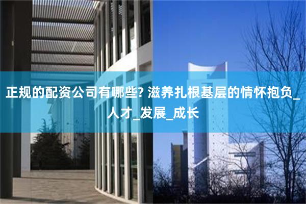 正规的配资公司有哪些? 滋养扎根基层的情怀抱负_人才_发展_成长